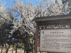 -前关湿地公园