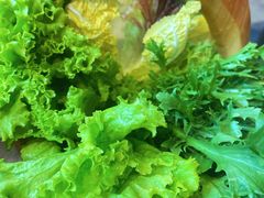 -醉董牛川派鲜肉自选火锅(烟台店)