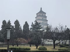 -唐猫庭院·千年陕菜(大唐不夜城店)