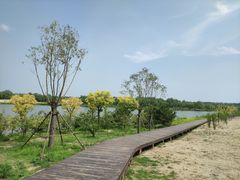 -东郊湿地公园