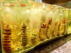 -Isla Sugbu Seafood City