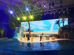 -三亚海昌梦幻海洋不夜城