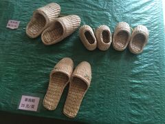 -北戴河集发农业梦想王国