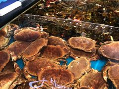 水产区-盒马鲜生(皇庭广场店)