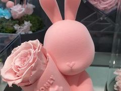 -ROSEONLY诺誓(国际广场购物中心店)