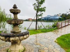 -大塘金香草谷