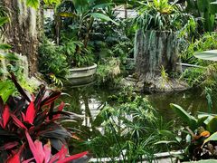 -北京植物园-展览温室