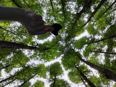 -山王坪喀斯特国家生态公园