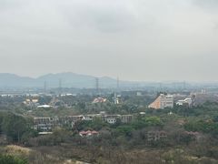 -美的鹭湖森林度假区