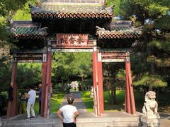 -迎泽公园