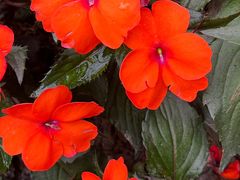 -广东外语外贸大学(白云山校区)