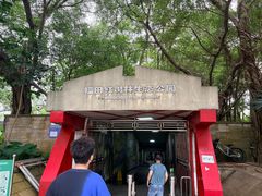 -福田红树林生态公园