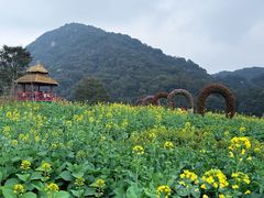 -广州市石门国家森林公园