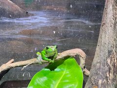 -正佳雨林生态植物园