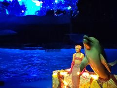 -大连圣亚海洋世界
