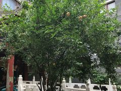 -北京市鼓楼中医医院(北院区)