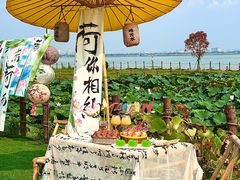 -七的湖·晚芳亭·阳澄湖农家菜·大闸蟹(莲花岛店)