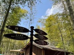 -宁波浙东大竹海景区