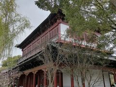 -南汇桃花村