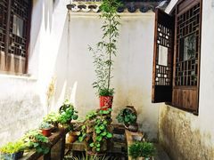 -月栖华明-云间草堂清茶馆(泗泾古镇店)