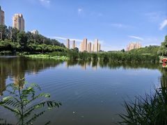 -前关湿地公园