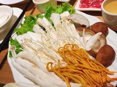 -掂档潮汕牛肉火锅(沈阳万象城店)