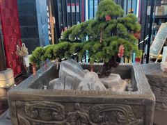-屋有岛沉浸游戏旗舰店(中山公园店)