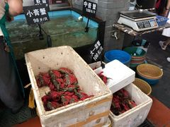 -莲花公园煎蟹(总店)