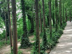 -云龙湖旅游景区