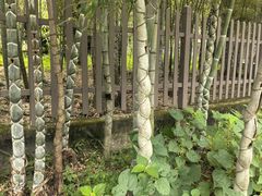 -黄公望隐居地
