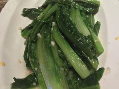 -蝴蝶汇音乐酒馆(罗湖店)