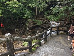 -姑婆山旅游区