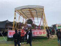 -武汉紫薇都市田园