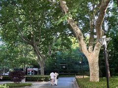 -徐家汇源景区-衡山公园