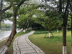 -江心屿景区