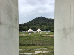 -风云岭森林公园