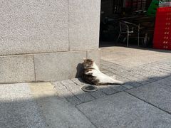 -荔湾湖公园