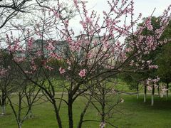 -艾溪湖湿地公园