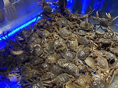 -鑫海汇海鲜烤肉自助(北国商城店)