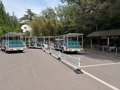 -日照海滨国家森林公园