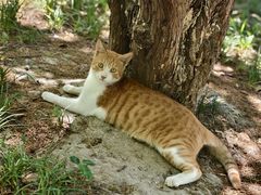 -狼山风景名胜区