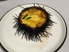 海胆-日月昇渔家菜·海肠捞饭·大连海鲜(星海公园店)