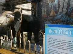 -呀路古热带植物园