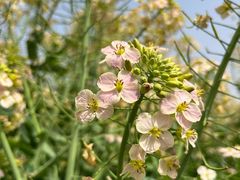 -中国天府农业博览园