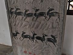 -上海醉白池公园