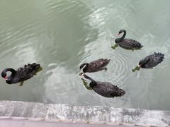 -福建鲤鱼洲酒店