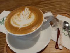 -树咖啡tree coffee