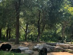 -北京野生动物园