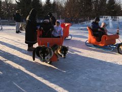 -长春世界雕塑园冰雪艺术天地
