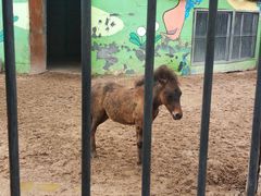 -鄂尔多斯野生动物园